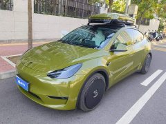 Tesla Model Y High Performance All-Wheel Drive - фото 1