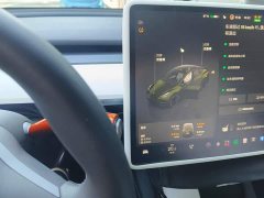 Tesla Model Y High Performance All-Wheel Drive - фото 14