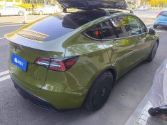 Tesla Model Y High Performance All-Wheel Drive - фото 3