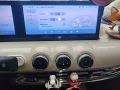 Wuling Binguo 410km Lingxi Premium Edition - ფოტო 20
