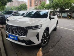 Haval H6 1.5T Two-Wheel Drive Classic Edition - ფოტო 1
