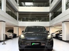 Tesla Model Y Rear-Wheel Drive - ფოტო 2