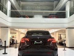 Tesla Model Y Rear-Wheel Drive - ფოტო 5