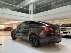 Tesla Model Y Rear-Wheel Drive - ფოტო 7