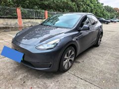 Tesla Model Y Long Range All-Wheel Drive - ფოტო 1
