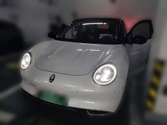 ORA Good Cat 400km Standard Range Athena Edition LFP Battery - photo 1