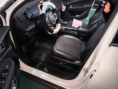 ORA Good Cat 400km Standard Range Athena Edition LFP Battery - photo 11