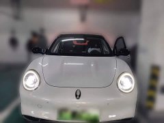 ORA Good Cat 400km Standard Range Athena Edition LFP Battery - photo 2