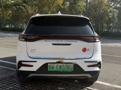 BYD Yuan Plus DM-i Champion Edition 112KM Honor Trim - photo 4