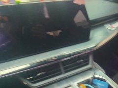 Haval Divine Beast 1.5T Smart Premium Edition - ფოტო 13