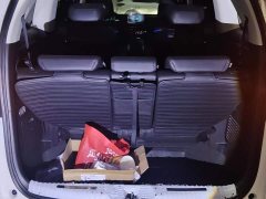 Honda Elysion 2.0L e:HEV Luxury Prestige Edition - ფოტო 4