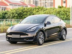 Tesla Model Y Rear-Wheel Drive - photo 1