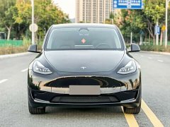 Tesla Model Y Rear-Wheel Drive - photo 2