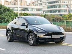 Tesla Model Y Rear-Wheel Drive - photo 3