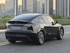 Tesla Model Y Rear-Wheel Drive - photo 7