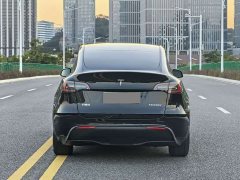 Tesla Model Y Rear-Wheel Drive - photo 8