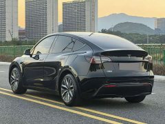 Tesla Model Y Rear-Wheel Drive - photo 9