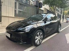Tesla Model Y Rear-Wheel Drive - фото 1