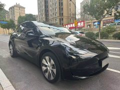 Tesla Model Y Rear-Wheel Drive - фото 3