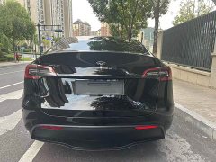 Tesla Model Y Rear-Wheel Drive - фото 6