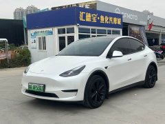 Tesla Model Y Rear-Wheel Drive - ფოტო 1