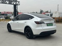 Tesla Model Y Rear-Wheel Drive - ფოტო 12