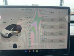 Tesla Model Y Rear-Wheel Drive - ფოტო 9