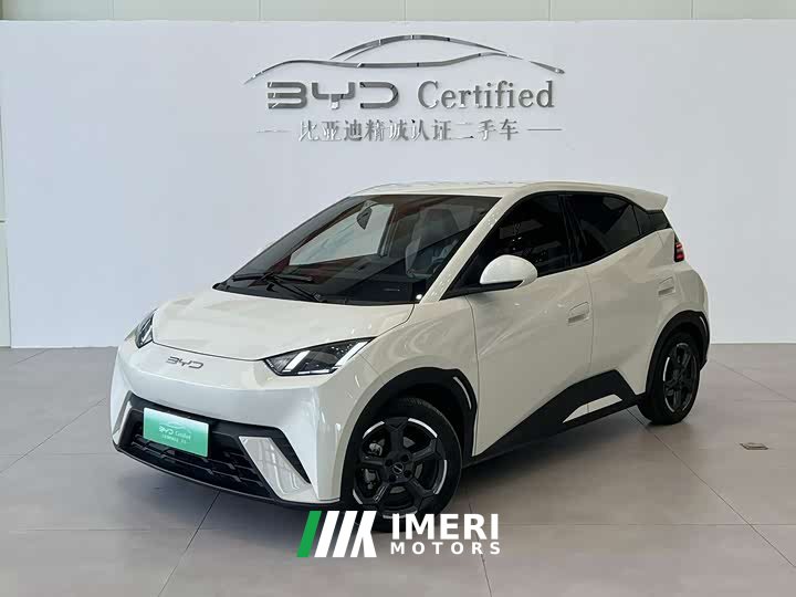BYD Seagull Freedom Edition - ავტომობილი ჩინეთიდან