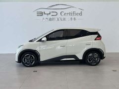 BYD Seagull Freedom Edition - ფოტო 2