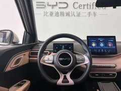 BYD Seagull Freedom Edition - ფოტო 6