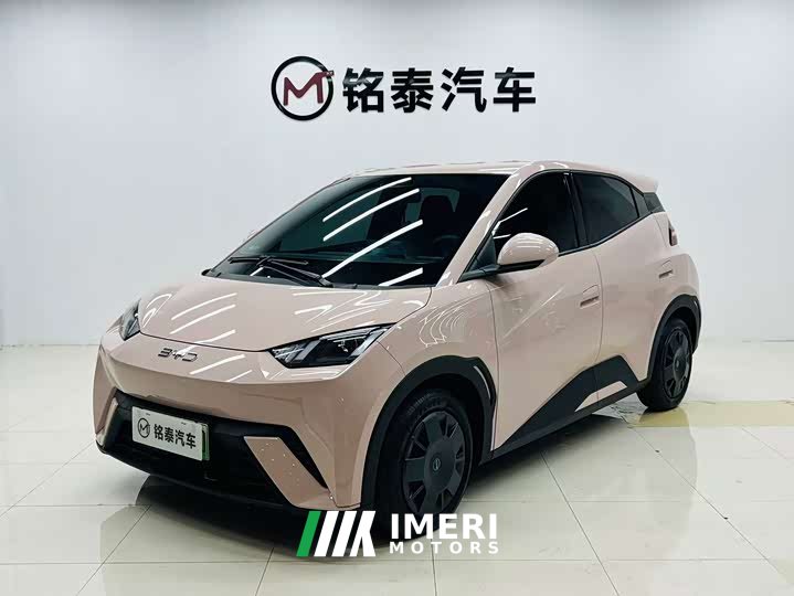 BYD Seagull 305km Vitality Edition - ავტომობილი ჩინეთიდან