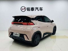 BYD Seagull 305km Vitality Edition - ფოტო 10