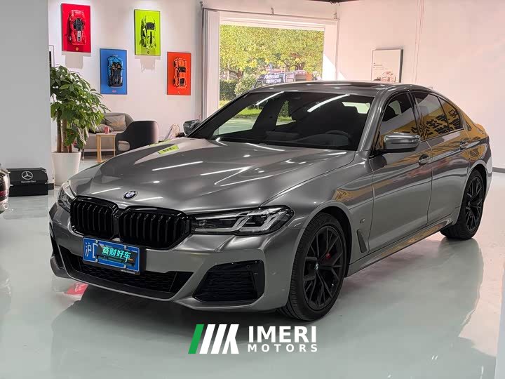 BMW 5 Series (Imported) 530i Elegance M Sport Package - car from China