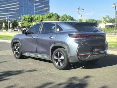 Chery Big Ant - ფოტო 8