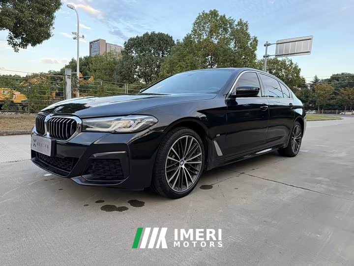 BMW 5 Series 530Li Premier M Sport Package - автомобиль из Китая