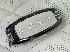 Denza D9 DM-i 980 Four-Wheel Drive Premium - ფოტო 14