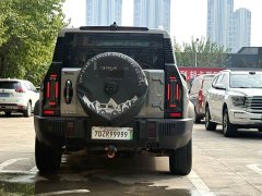 Jetour Chitu Traveler C-DM 206KM AWD Mountain Edition - photo 15