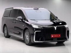 Voyah Lantu Dreamchaser PHEV AWD Luxury Qiankun Edition - фото 3