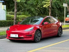 Tesla Model 3 Standard Range RWD Upgrade 3D6 - ფოტო 1