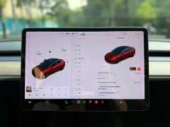 Tesla Model 3 Standard Range RWD Upgrade 3D6 - ფოტო 5