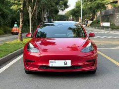 Tesla Model 3 Standard Range RWD Upgrade 3D6 - ფოტო 8