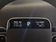 Li Auto L7 Pro - ფოტო 13