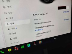 Tesla Model Y Rear-Wheel Drive - ფოტო 8