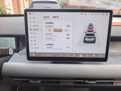 Dongfeng Nano 06 401 Pro - фото 10