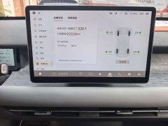 Dongfeng Nano 06 401 Pro - фото 11