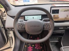 Dongfeng Nano 06 401 Pro - фото 6
