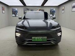 BYD Song Plus New Energy DM-i 110km Flagship Honors Edition - фото 2