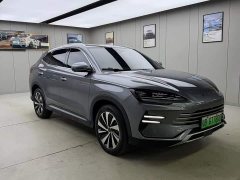 BYD Song Plus New Energy DM-i 110km Flagship Honors Edition - фото 3