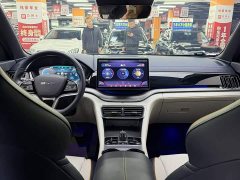 BYD Song Plus New Energy DM-i 110km Flagship Honors Edition - фото 6