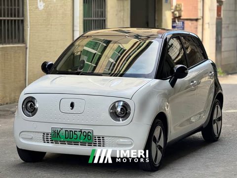 2021 ORA Black Cat 301km Base - car from China